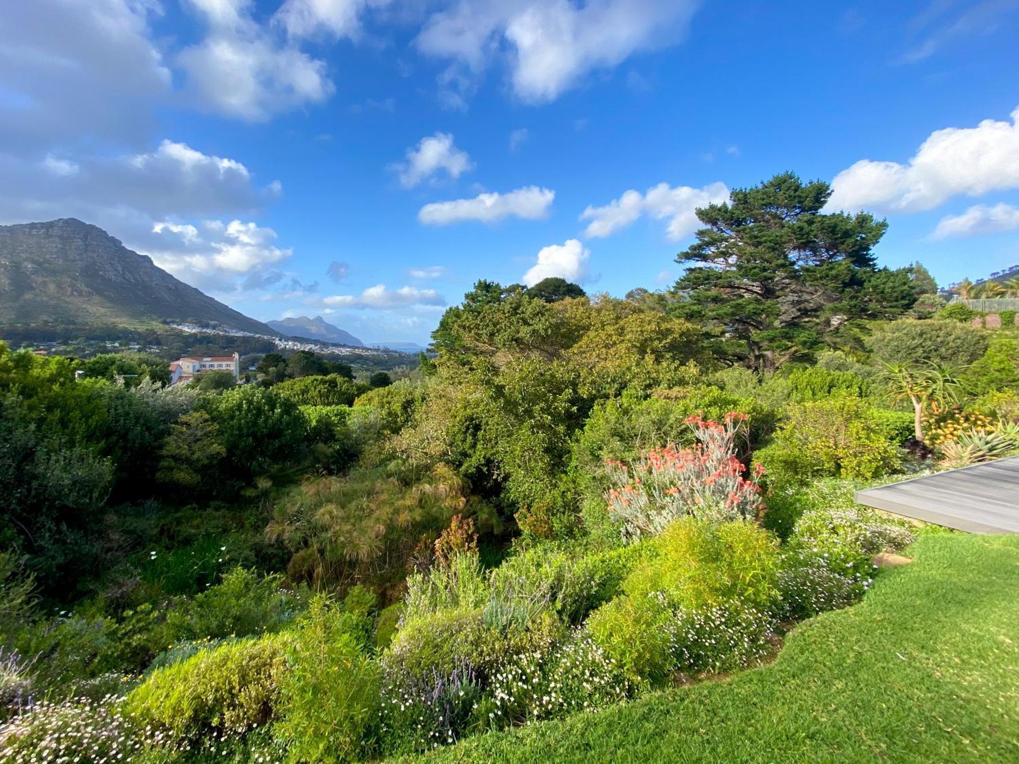 Luxe Family Home With Solar Power In Secure Hout Bay Estate เคปทาวน์ ภายนอก รูปภาพ